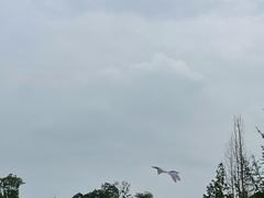 -白鹭湾湿地公园