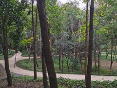 -昆山城市生态森林公园