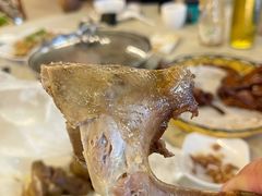 -百利鸽王(紫薇路店)