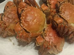 -柴火大院烤鸭民间菜