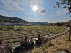-红山村