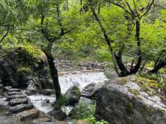 -石台牯牛降景区