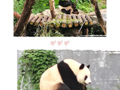 -红山森林动物园
