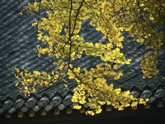 -成都市文殊院