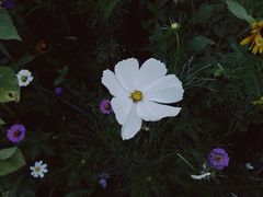 -钟山体育运动公园
