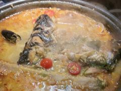 -匠子烤鱼(桫椤湾店)