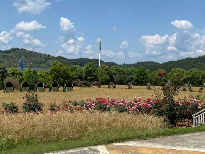 建阳武夷花花世界景区图片