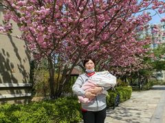 -爱贝佳母婴护理服务中心·月嫂育儿嫂(鲁迅路店)