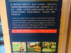 -上海佘山世茂艾美酒店