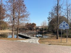 -同里国家湿地公园