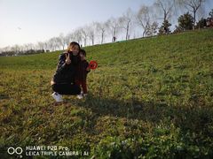 -洨河生态公园