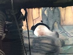 -泉州海丝野生动物世界