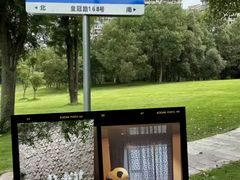 -成都保利公园皇冠假日酒店(熊猫基地店)