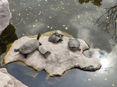 -龙华寺
