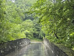 -都江堰中华大熊猫苑