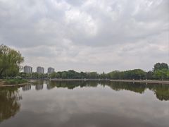-泰丰公园