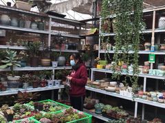 -秦美花卉(天朗·莱茵小城2期店)