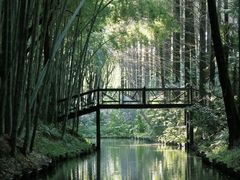-同里国家湿地公园