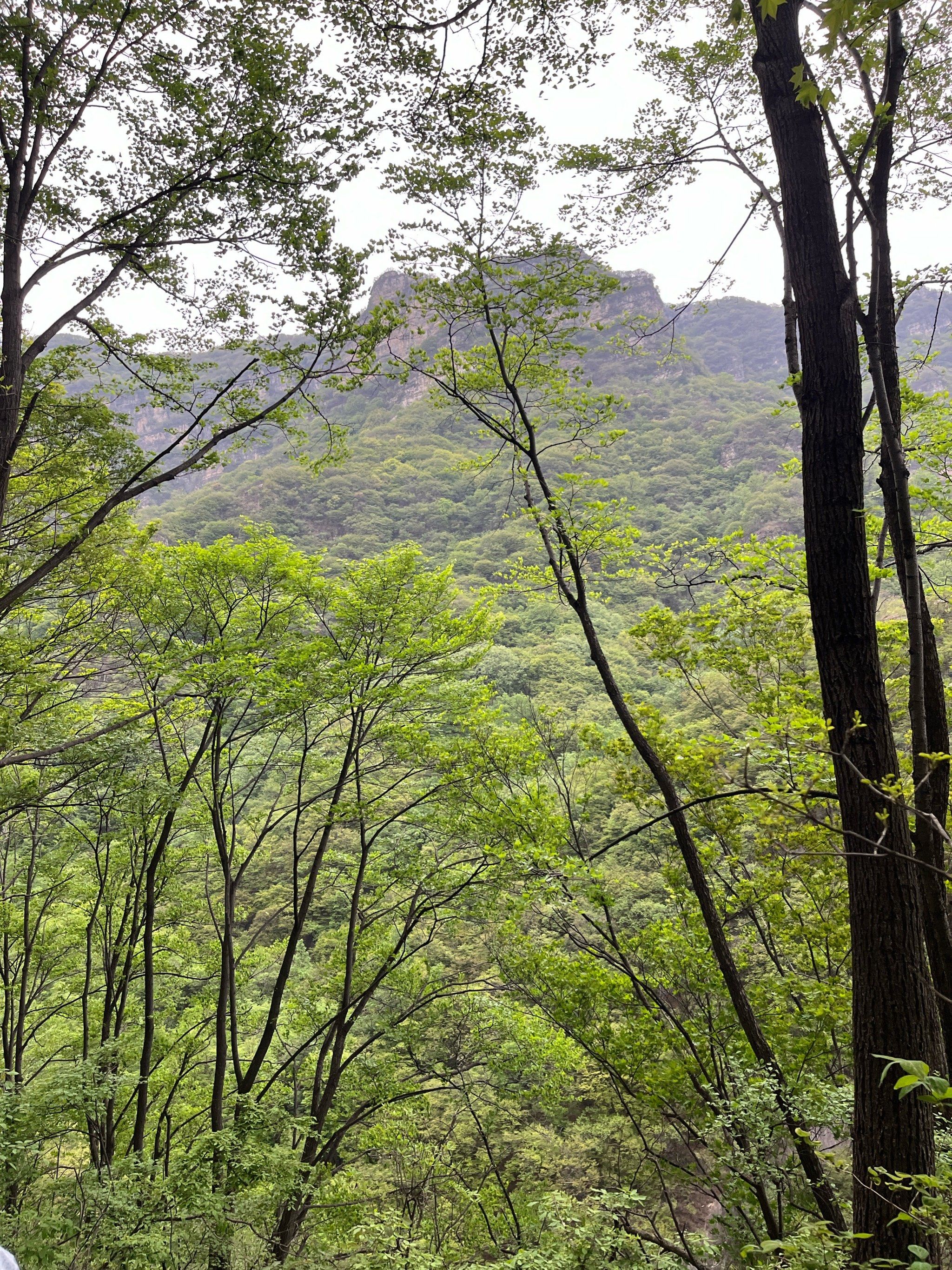 春天就去爬山吧
