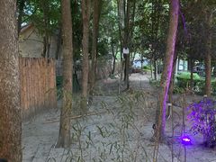 -二荆条·蜀鲜汇城市森林火锅