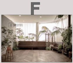 -大树儿童摄影