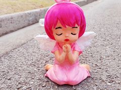 -上海吴淞炮台湾国家湿地公园