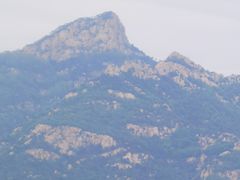 -万达广场(泰安泰山店)