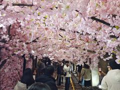 -光谷广场