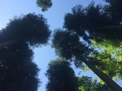 -太阳湾风景区