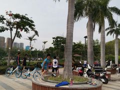 -金鸡岭桥头公园