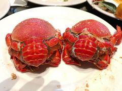 -太原富力万达文华酒店·美食汇西餐厅