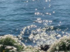 -大理洱海