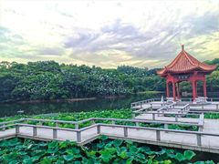 -广州莲花山旅游区