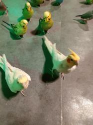 -酷嗒动物文化乐园(cutezoo西溪乐天城店)