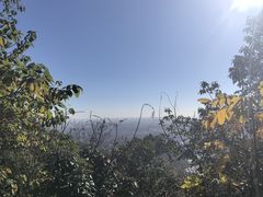 -杭州半山国家森林公园