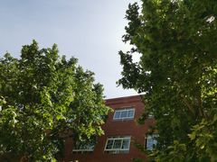 -北京市海淀外国语实验学校