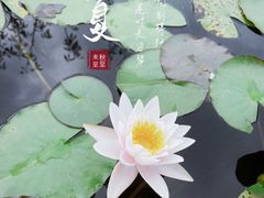 -白马涧龙池景区