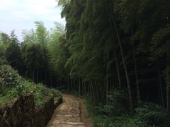 -径山寺