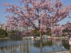 -新江湾城公园