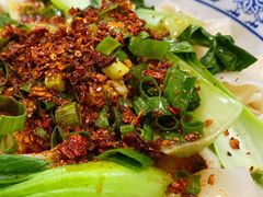 牛肉油泼扯面-马振面(小皮院店)