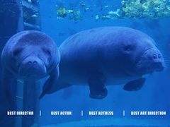 -泉城欧乐堡海洋极地世界