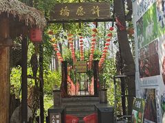 -合肥滨湖国家森林公园