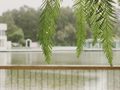 -中国科学院华南植物园