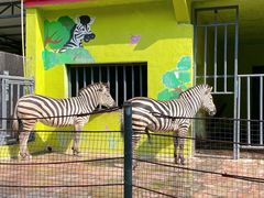 -荆州中山公园动物园