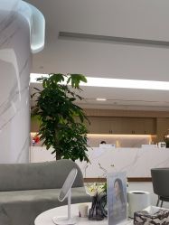 -上海伊莱美医疗美容医院