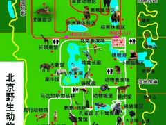 -北京野生动物园