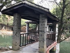 -八大山人梅湖景区