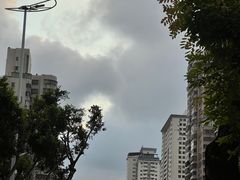-万绿园