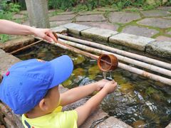 -天目湖山水园