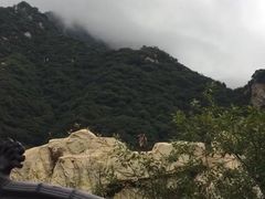 -太平万花山景区